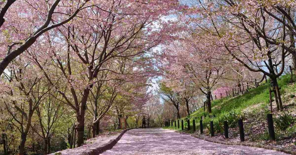 12. Higashiyama Zoo and Botanical Gardens