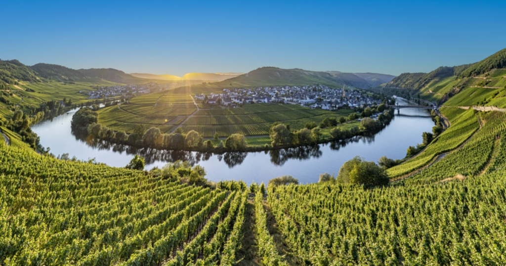 Mosel, Germany  + Best Wine Regions in Europe