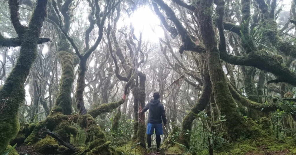 Mt. Dulang-Dulang