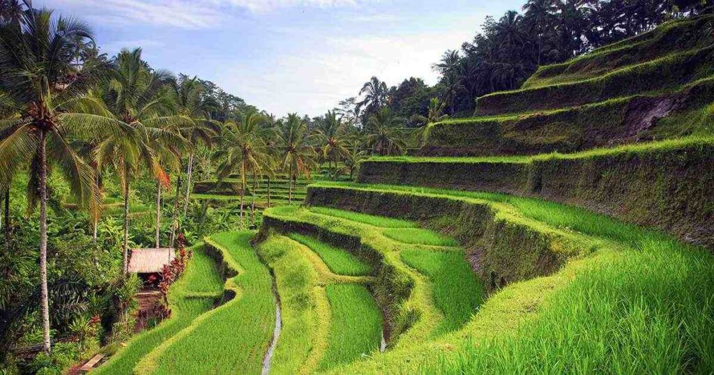 Bali, Indonesia + Top 10 Cheapest Places to Explore without Breaking the Bank