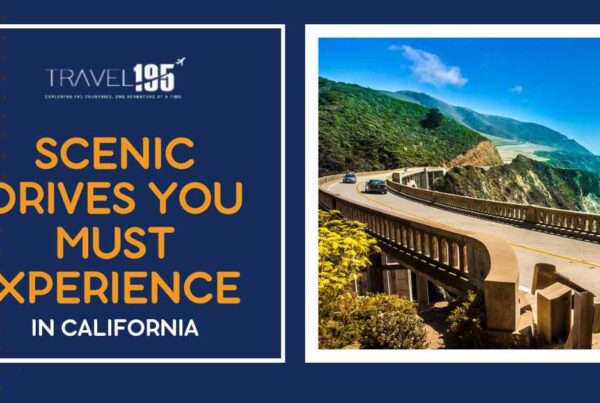 Scenic Drives You Must Experience in California