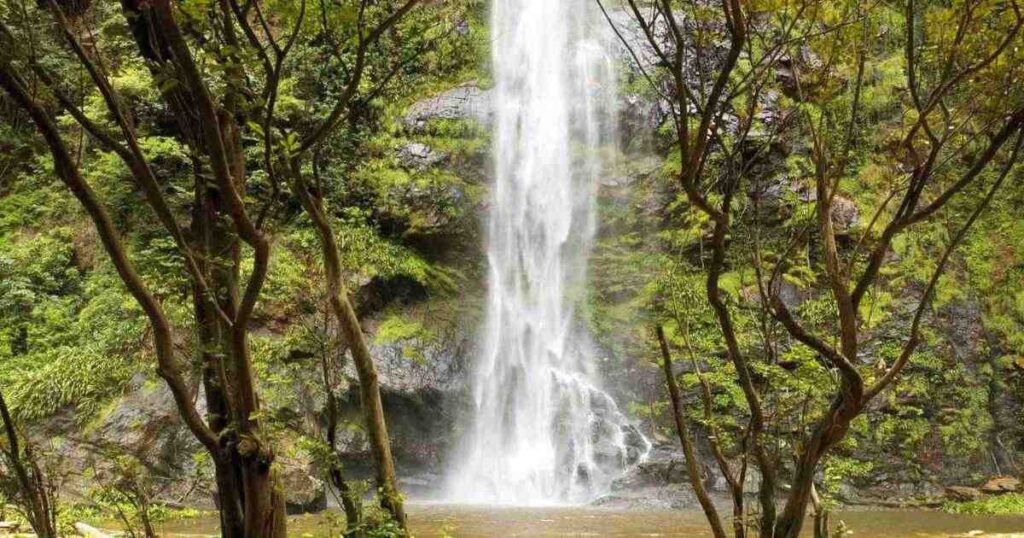 Wli Waterfalls: Nature's Enchantment + Ghana's Top 10 Wonders